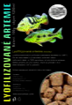 Lyofilizované artemie (kocky) 