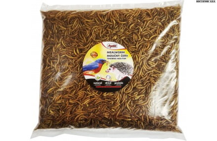 MEALWORM 100 g